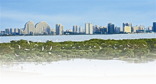 北海市2020年gdp(3)