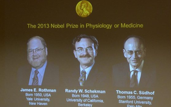美德两国科学家共享2013诺贝尔生理学或医学奖