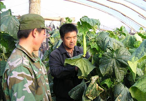 柏连福经常到果蔬基地传授种植技术