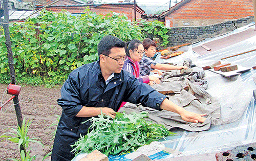 去年7月，辽宁丹东市选派到社区工作的“第一书记”主动投身防汛一线。图为“第一书记”高智军（左一）为群众加固蔬菜大棚。