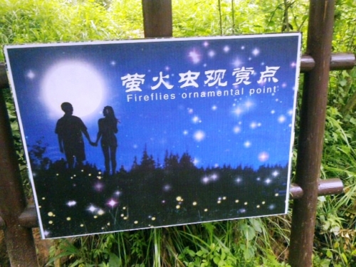 仲夏夜精灵 寻觅国内观萤火虫的那些地儿