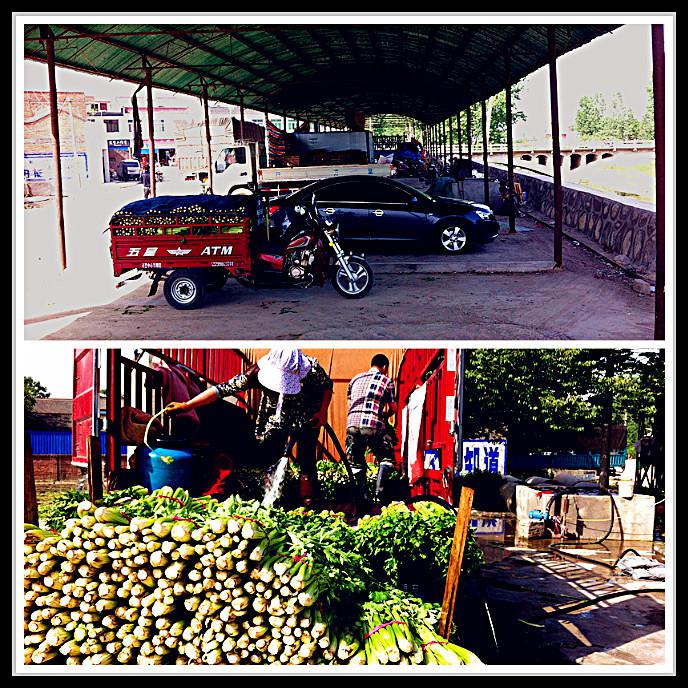 图上为三湾村村头冷清的蔬菜收购市场；图下为在三湾村村口，一个菜贩子以每斤1毛钱的价格收购了一车菜，工人正在清洗装车。