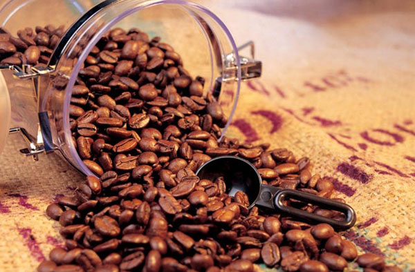 Les graines de café ne résistent pas au changement climatique