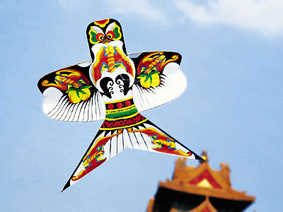 Beijing kites