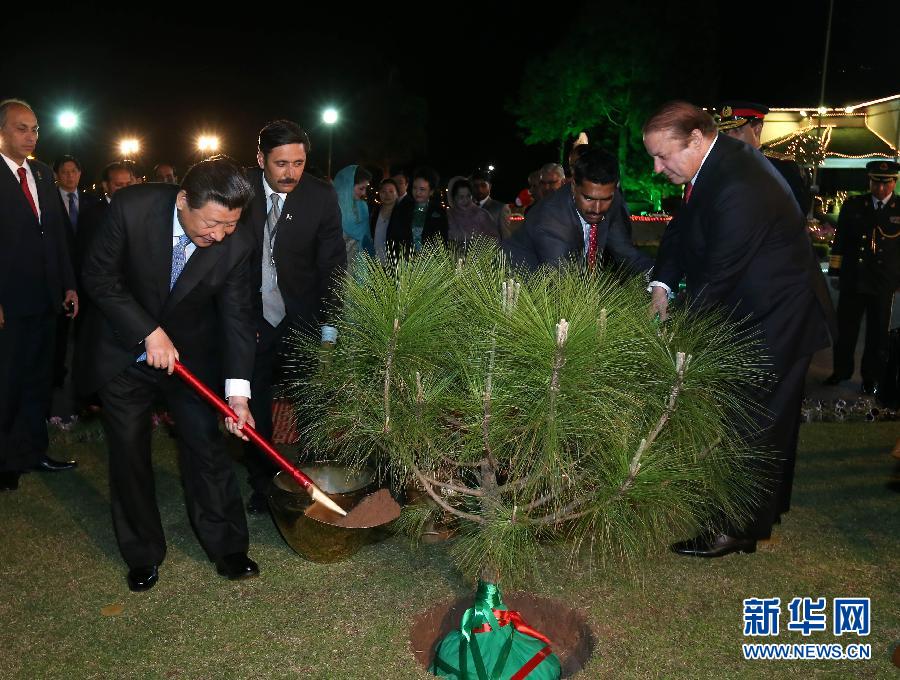 4月20日，国家主席习近平同巴基斯坦总理谢里夫一道，在伊斯兰堡的巴基斯坦总理府种植友谊树。 新华社记者 庞兴雷 摄