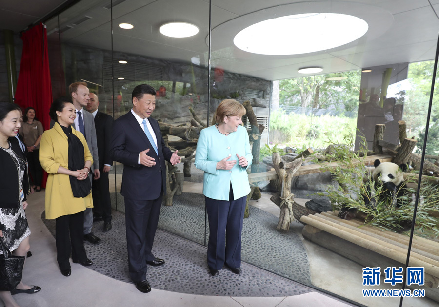 7月5日，国家主席习近平同德国总理默克尔共同出席柏林动物园大熊猫馆开馆仪式。这是习近平和夫人彭丽媛同默克尔在大熊猫馆。 