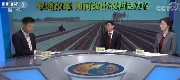解读2019年中央一号文件：农村土地 哪些底线要守住？