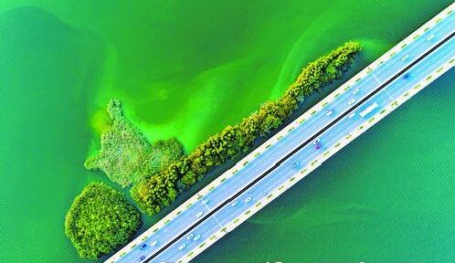 集美加快防治水污染、改善水环境。图为碧水荡漾的杏林湾大桥水域。