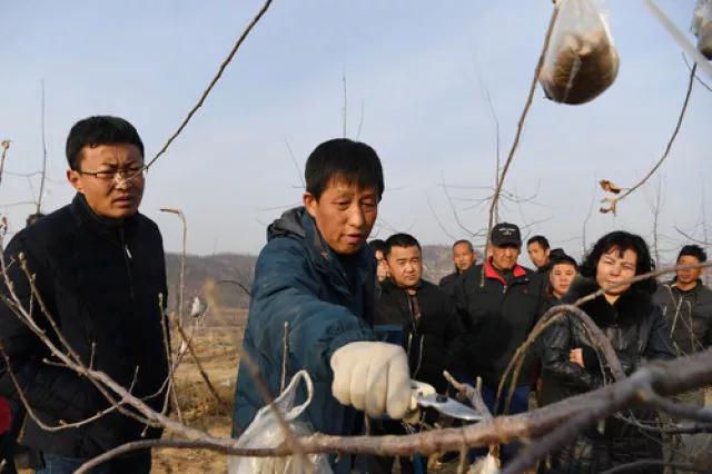 刘国良（左二）在子长县丹头村为果农讲解苹果树修枝技术（2月21日摄）。