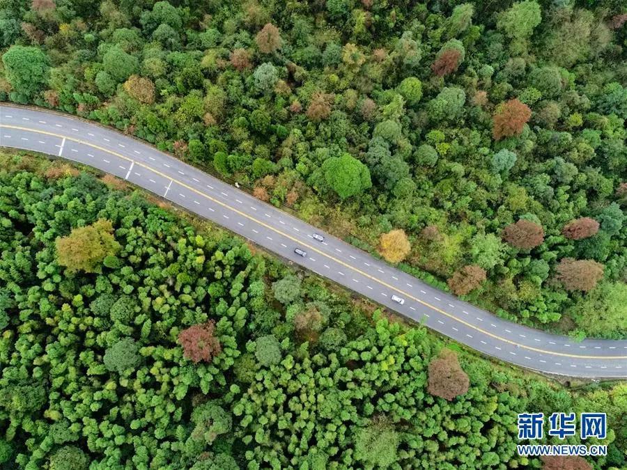 车辆行驶在国家第一条四车道盘山公路泰井高速上（2018年11月21日无人机拍摄）。新华社记者 胡晨欢 摄