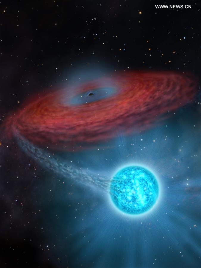 This photo shows the artistic rendering of the black hole LB-1. A Chinese-led research team has discovered a surprisingly huge stellar black hole about 14,000 light-years from Earth -- our "backyard" of the universe -- forcing scientists to re-examine how such black holes form. The team, headed by Liu Jifeng, of the National Astronomical Observatory of the Chinese Academy of Sciences (NAOC), spotted the black hole, which has a mass 70 times greater than the Sun. Researchers named the monster black hole LB-1. (Xinhua)