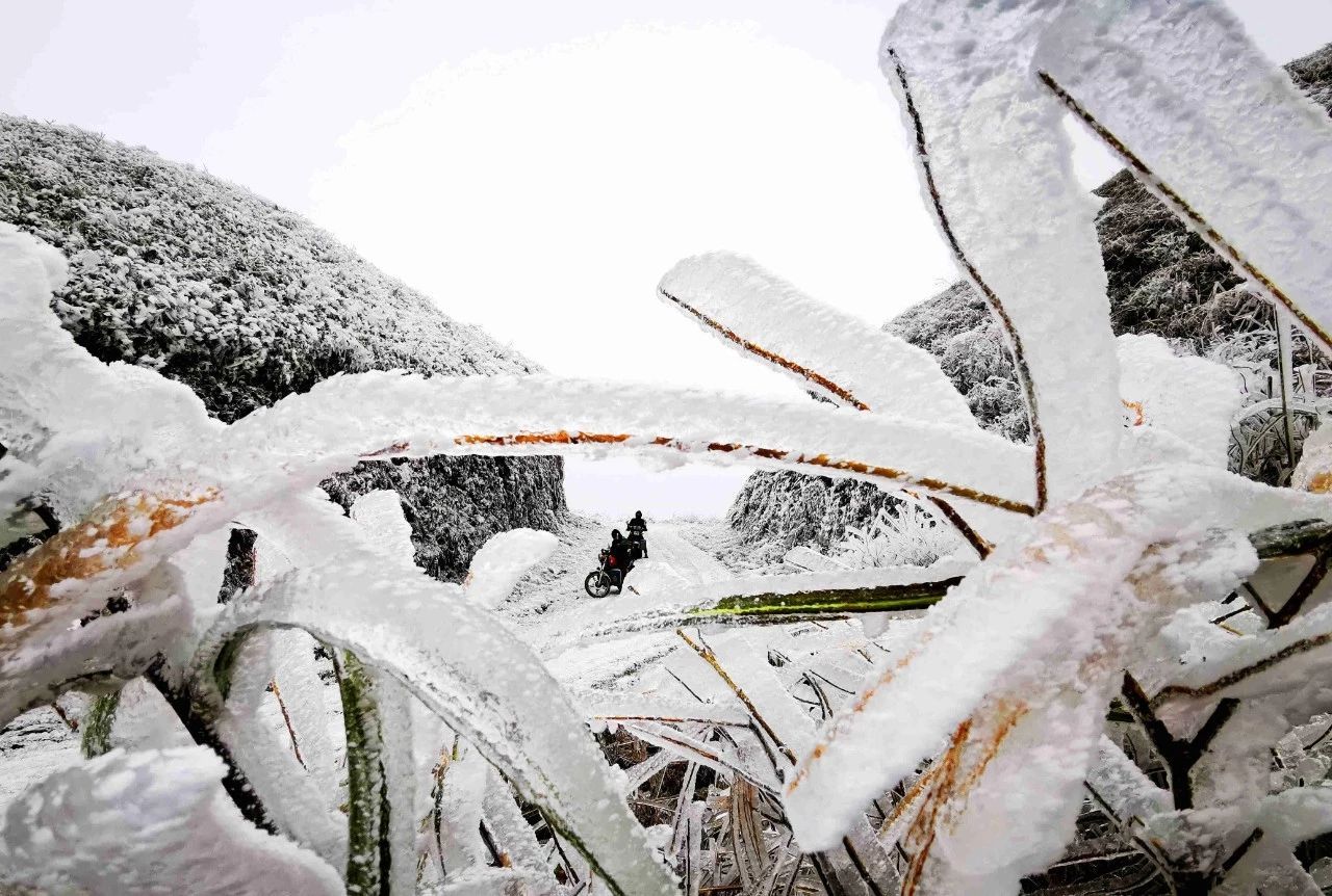 大雪，岁寒灯益暖，守望夜归人（图14）