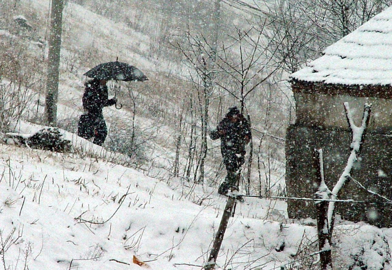 大雪，岁寒灯益暖，守望夜归人（图18）