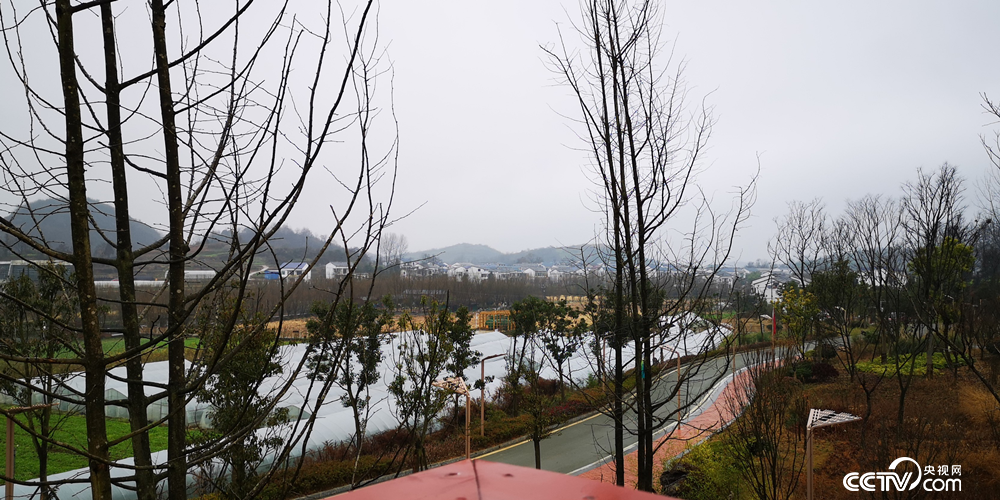 邢江河国家湿地公园与村落融为一体。（何川 摄）