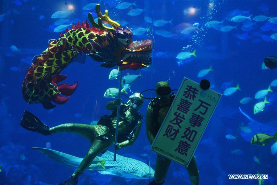 A diver performs dragon dance in water during celebrations for the upcoming Chinese New Year at S.E.A. Aquarium in Singapore on Jan. 14, 2020. (Xinhua/Then Chih Wey) 