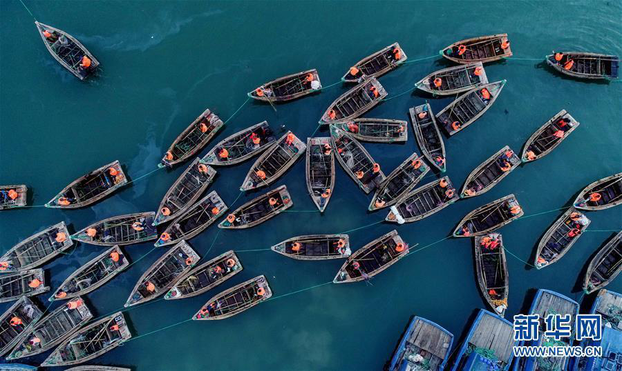 8点见■【8点见】“民航医院杀医案”罪犯孙文斌被执行死刑