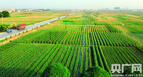 「交通网络」广西百色将加快建设综合立体交通网络 打造中国—东盟新兴铝产业基地