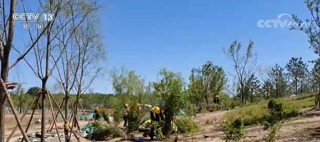 「北京」北京：新一轮百万亩造林绿化完成过半