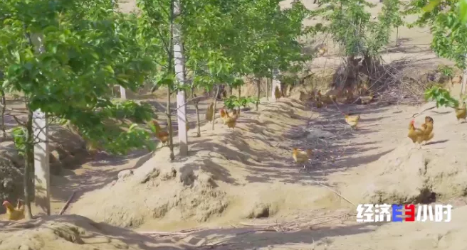 【粮食价格】他火了！理工博士、网红市长！频频登上热搜榜，金句频出的“带货王”