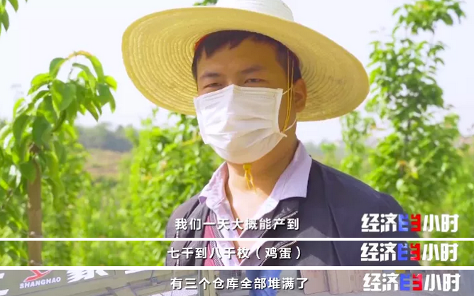 【粮食价格】他火了！理工博士、网红市长！频频登上热搜榜，金句频出的“带货王”