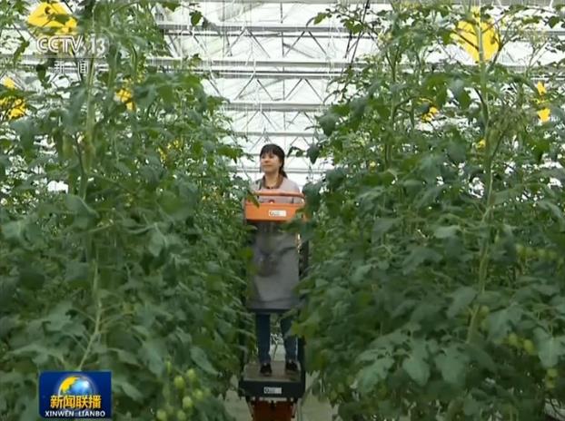 国务院国务院扶贫办：贫困劳动力务工就业等重点工作加快推进