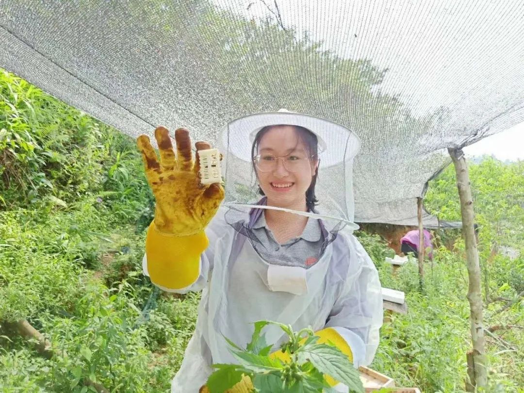 黄文秀到外村考察养蜂产业，计划将养蜂技术引到百坭村。新华社发（乐业县宣传部供图）