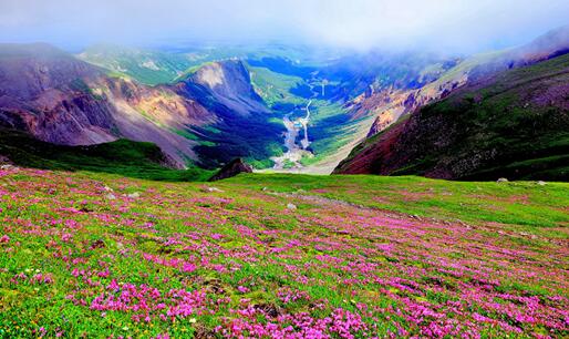 高山苔原-吉林长白山国家级自然保护区(摄影 朴龙国)