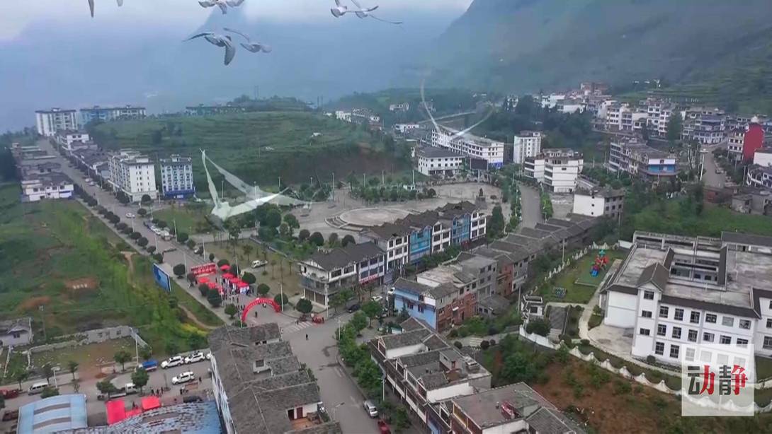 脱贫攻坚|【脱贫攻坚走基层·决战一线看落实】贵州纳雍：劳务就业扶贫何惧山高路远（上）