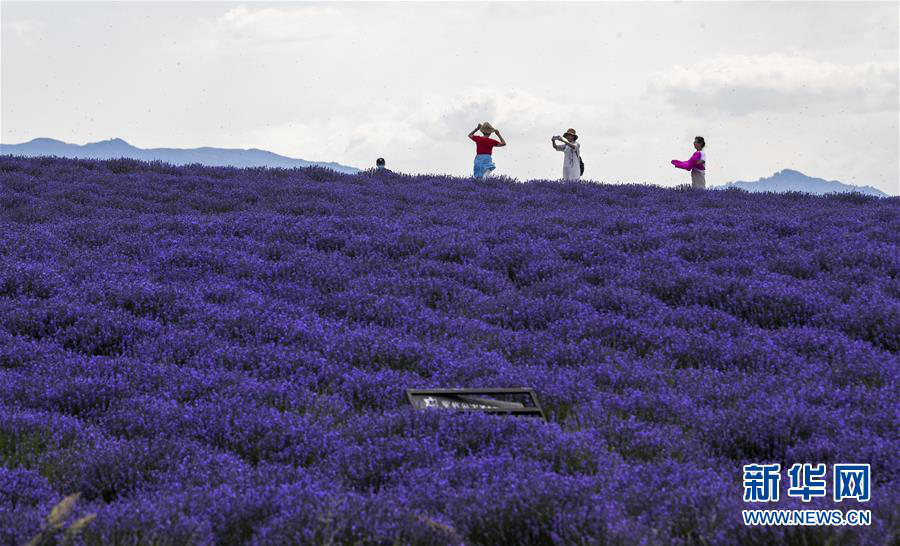 8点见|【8点见】受贿超九千万,赵洪顺一审获刑无期