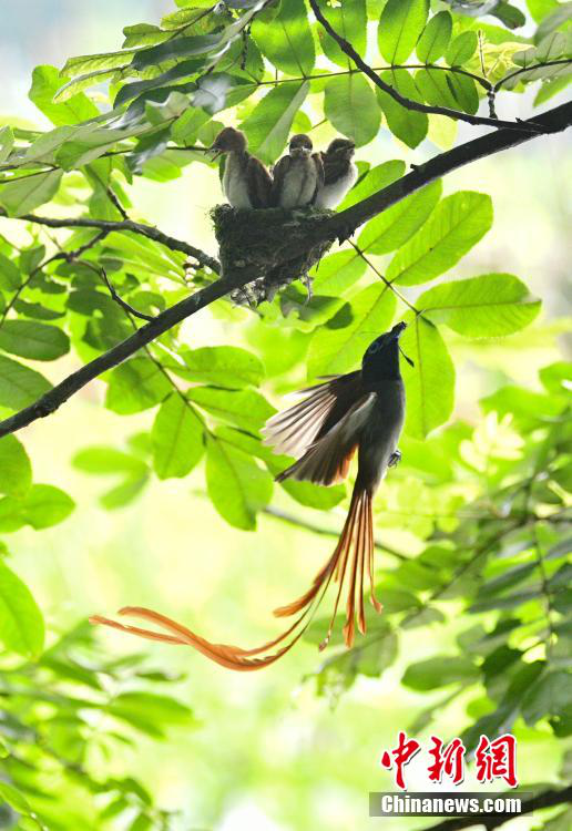 8点见|【8点见】受贿超九千万,赵洪顺一审获刑无期