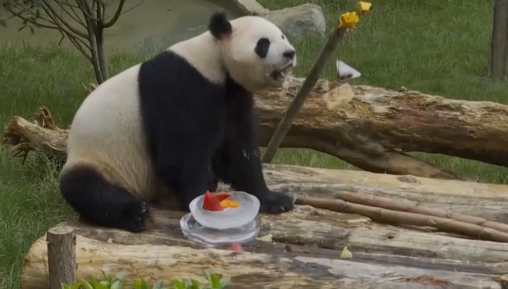 8点见|【8点见】端午假期首日全国接待国内游客1727.6万人次