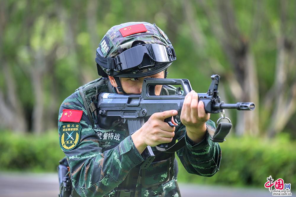 奋战【中国故事】国际禁毒日：奋战在缉毒一线的“他”和“它”