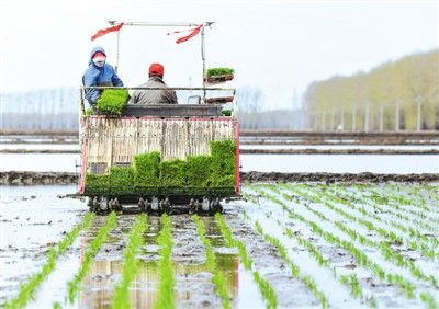 流量密度|地图应用正在大显身手