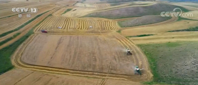 新疆麦收接近尾声 预计总产588万吨