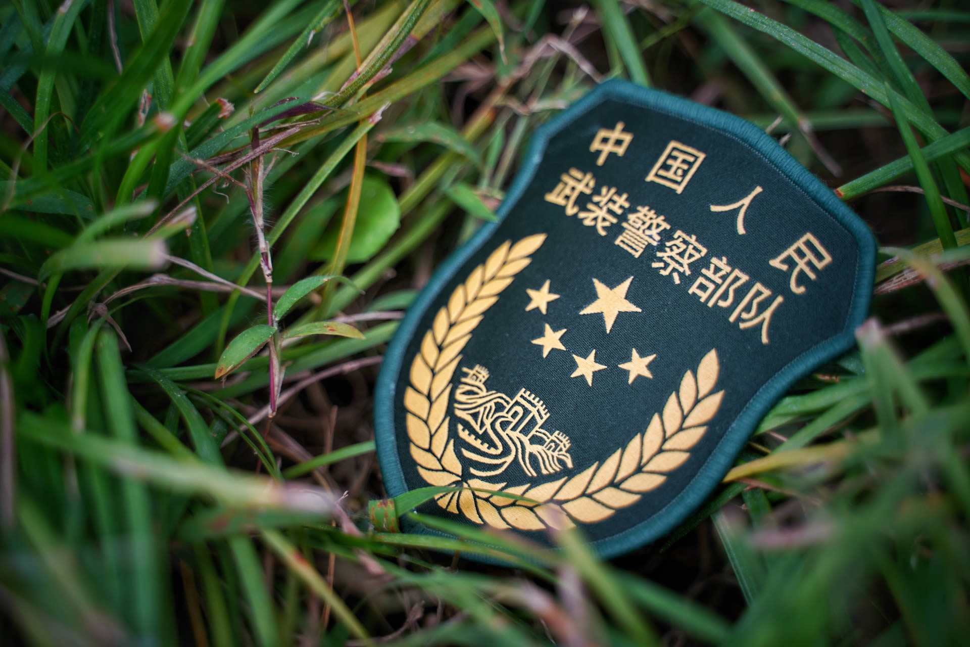 入伍|速来围观丨入伍“满月”照，新兵有话说！