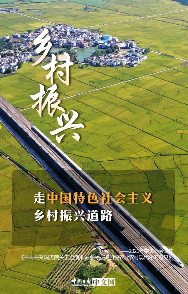 文件提出,全面推进乡村振兴,加快农业农村现代化.