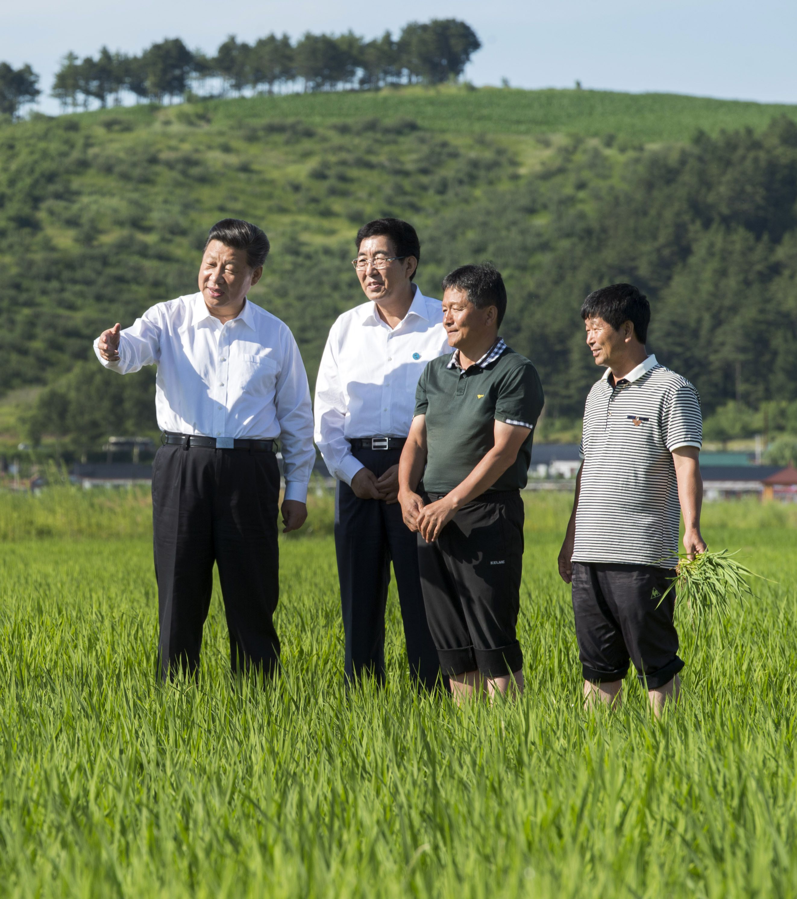 2015年7月16日，習近平總書記在吉林省延邊州和龍市東城鎮光東村視察水稻長勢。