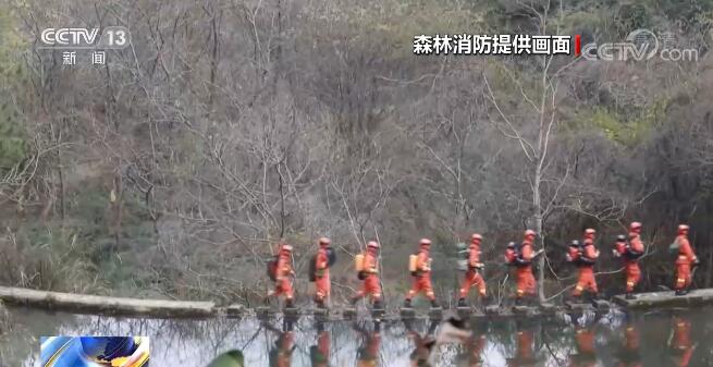 美嘉体育官网森林火警电话你知道吗？武夷山国家公园动植物种类丰富 森林消防加强巡护(图3)