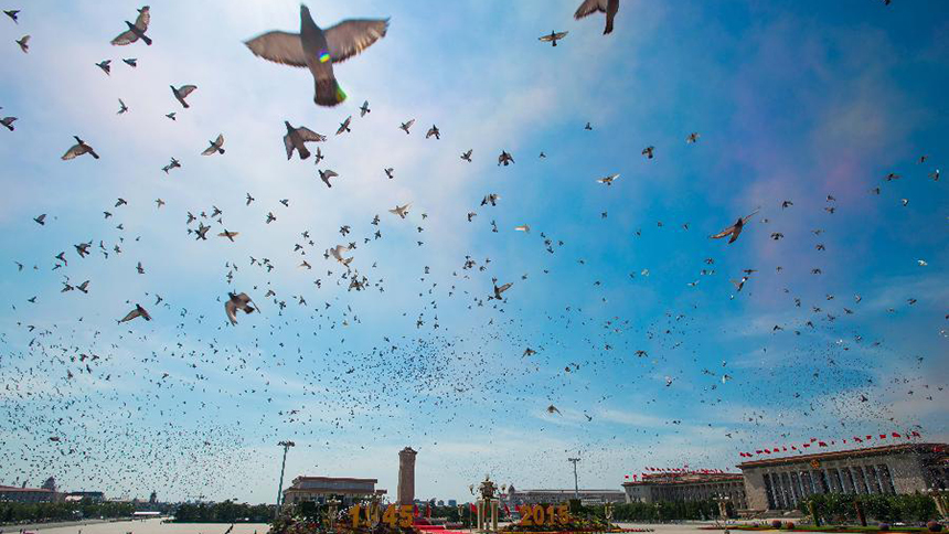 2015年9月3日，中国人民抗日战争暨世界反法西斯战争胜利70周年纪念大会在北京隆重举行。这是7万羽白鸽放飞蓝天。