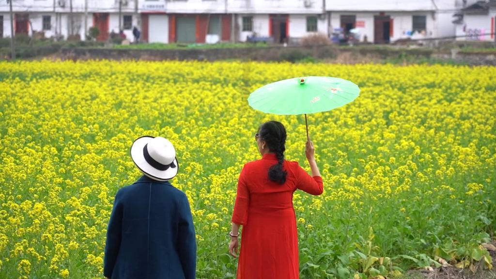 油菜花开游客来 江西婺源旅游全面复苏