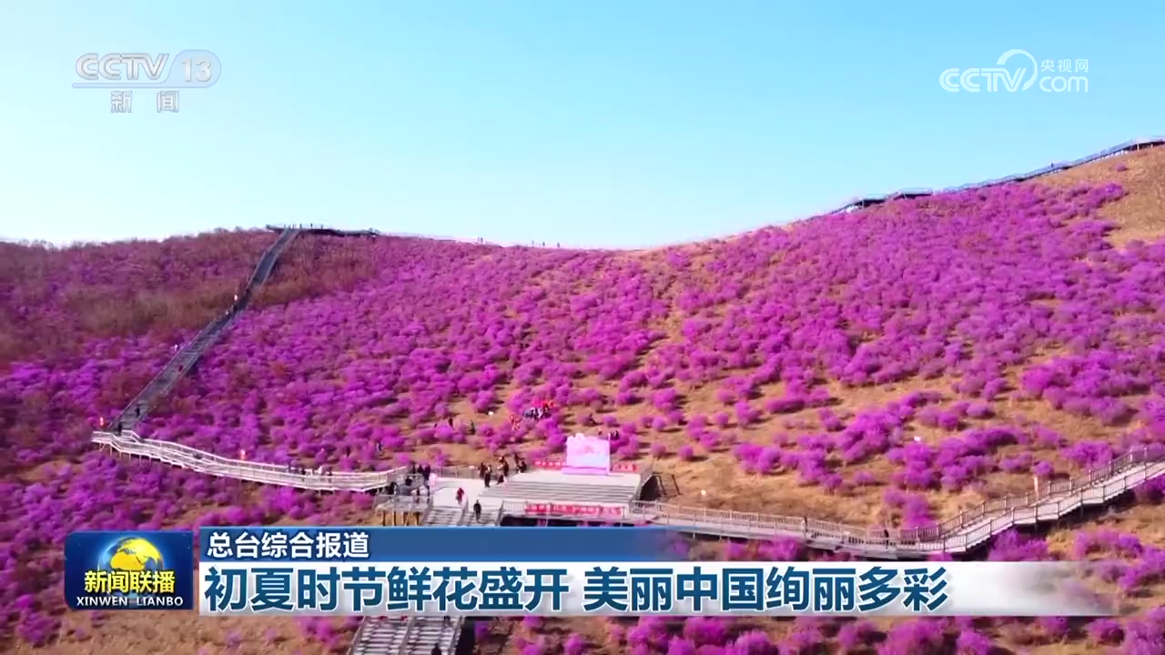 初夏时节鲜花盛开 美丽中国绚丽多彩(图2)