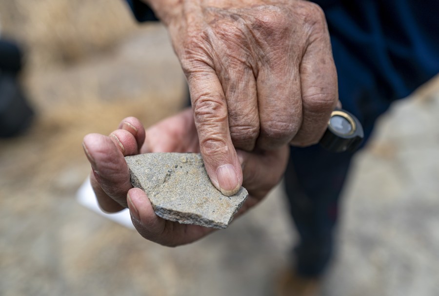 海归古生物研究者：我给5亿多年的古生物化石拍CT 图1