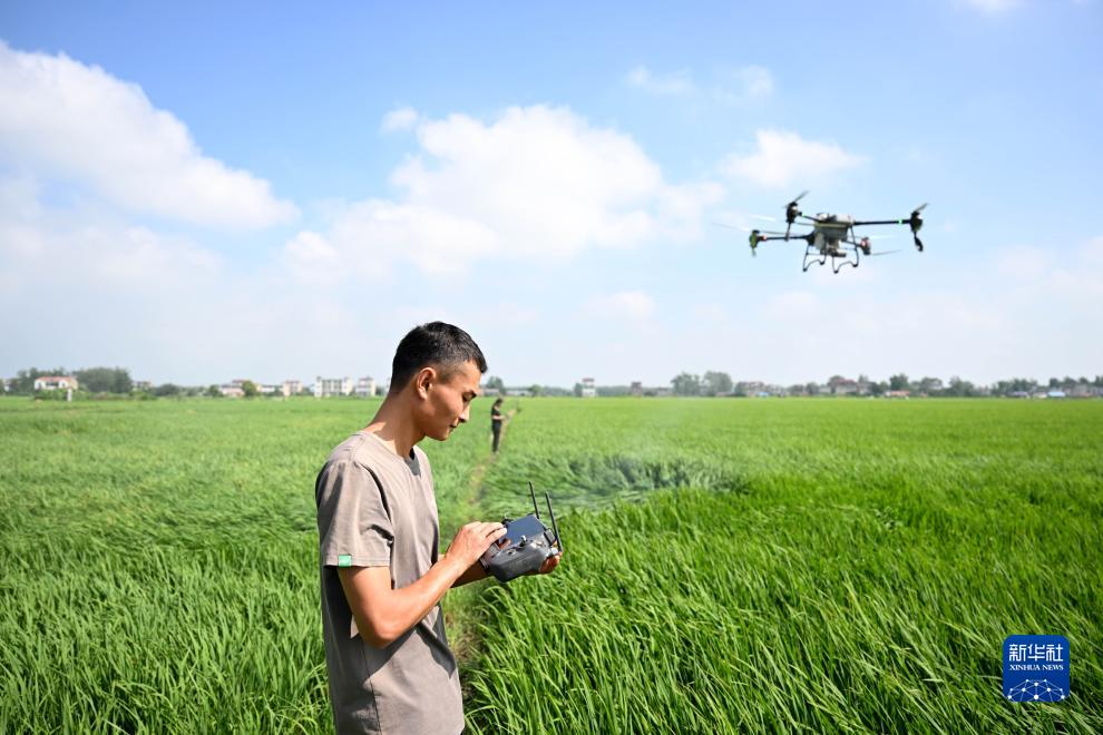 大学生“新农人”的田园创业梦 图1