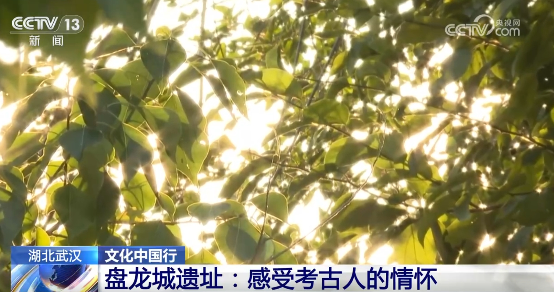 吉祥坊中国文化中国行|在盘龙城遗址感受考古人情怀 将3500年光阴直接打通(图1) 吉祥坊中国文化中国行|在盘龙城遗址感受考古人情怀 将3500年光阴直接打通(图1)