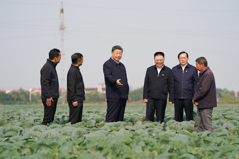 11月4日至6日，中共中央總書記、國家主席、中央軍委主席習(xí)近平在湖北考察。這是5日上午，習(xí)近平在咸寧市嘉魚縣潘家灣鎮(zhèn)十里蔬菜長廊考察時(shí)，走進(jìn)田間，察看蔬菜長勢(shì)。