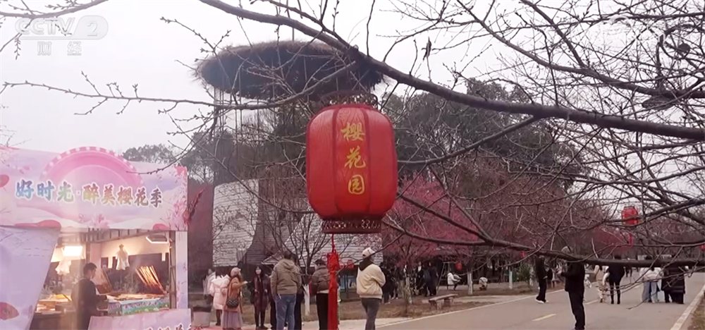 OB视讯网址踏青赏花正当时 多地以“花”为媒装扮乡村特色产业路(图4)