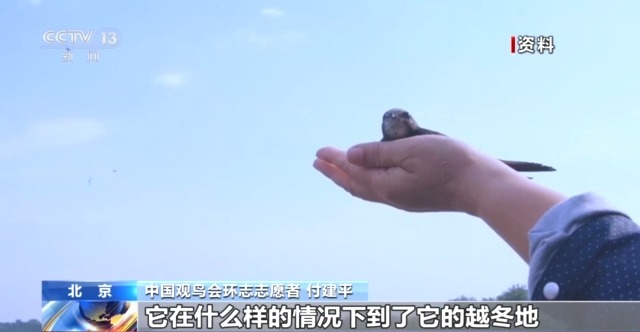 必赢入口限定“皮肤”已上线 北京雨燕和古建筑的适配度拉满了(图13)