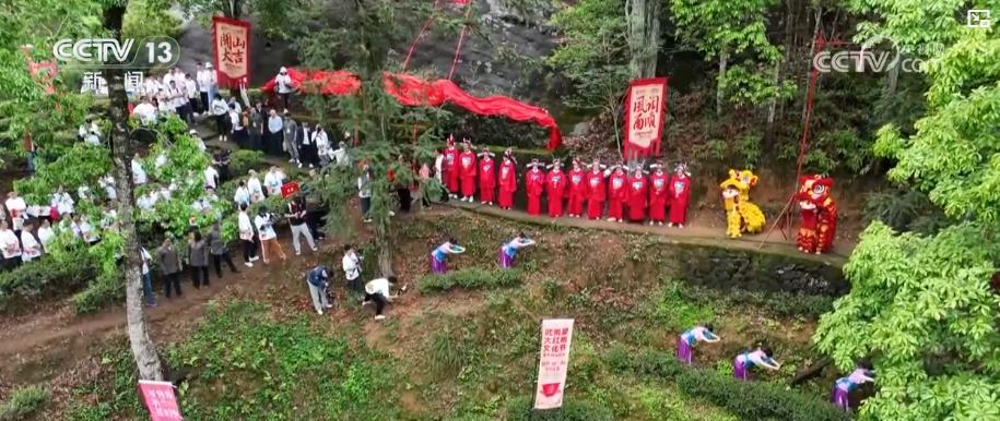 谷雨时节春茶香传统茶艺与茶旅文化融合促消费 火星电竞入口助力乡村振兴(图1)