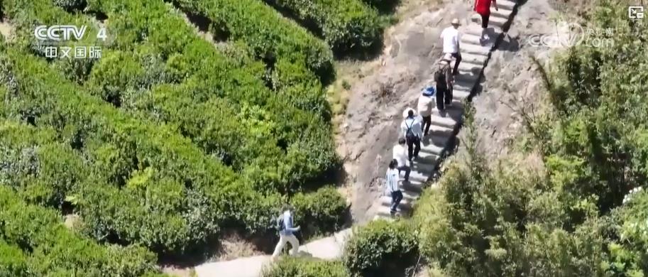 猫先生下载户外运动产业迎规模化发展 消费扩容激活新经济增长点(图3)