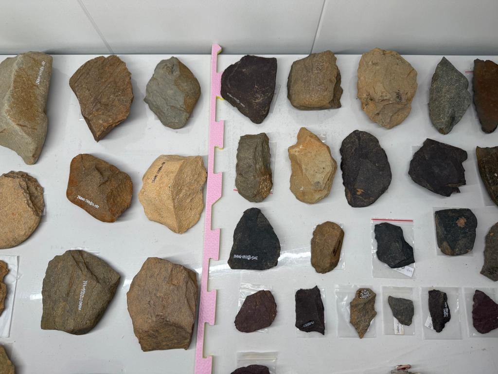 文化新观察丨穿雨林下深海这里的文物普查不一般(图1)